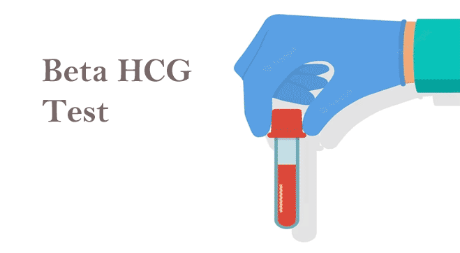What Is Beta HCG Test: Types, Levels & Results