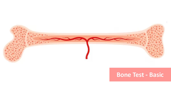 Bone Test - Basic