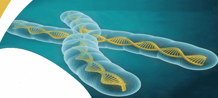 Chromosomal Aberrations - a Generic Backlog