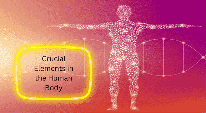 Elements of Importance for Human Body