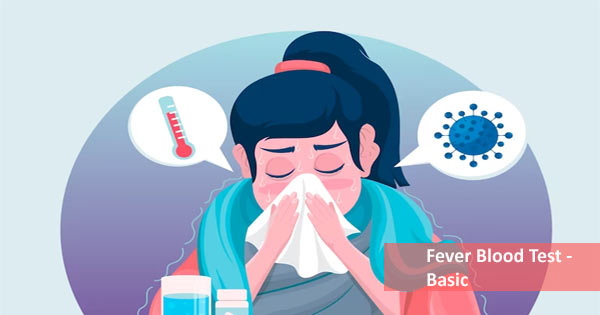 Fever Blood Test - Basic