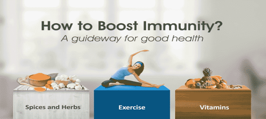 Healthy Immune System Healthy Life - How to Boost Immunity