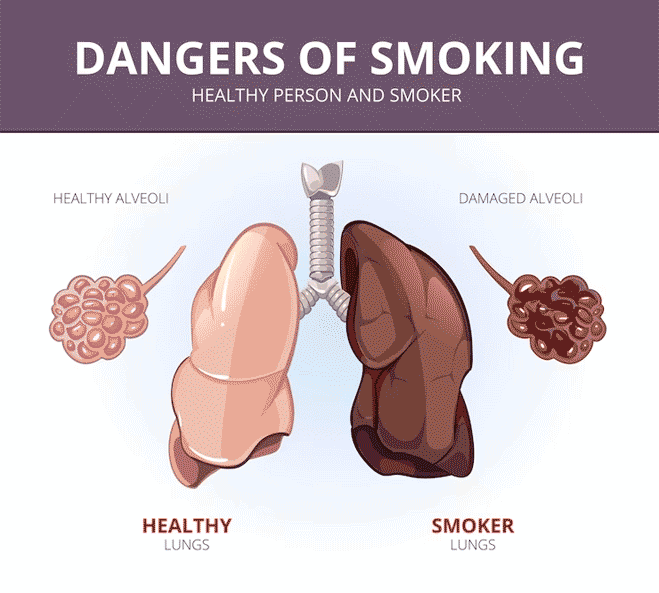healthy lungs and smokers lungs comparison