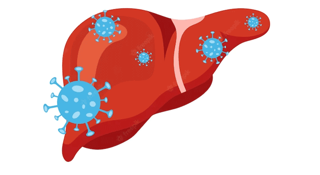 Hepatitis C: Transmission, Symptoms, Treatments & Test For HCV
