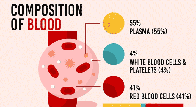 Understanding Blood and Blood Components