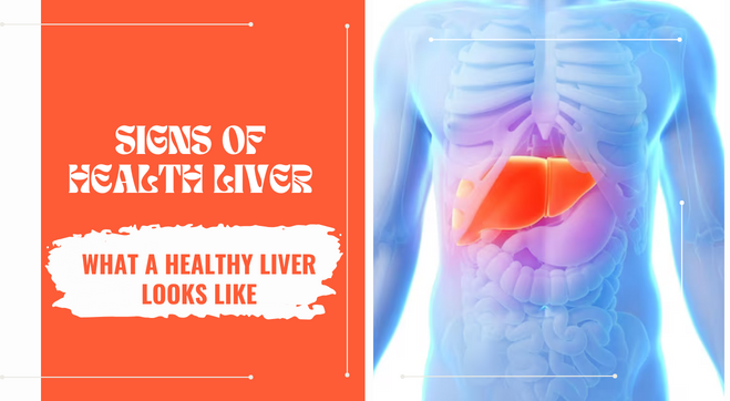 Signs Of Health Liver: How To Know If Your Liver Is Healthy? 