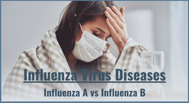 Influenza A vs Influenza  B Viruses: Unveiling Influenza Diseases