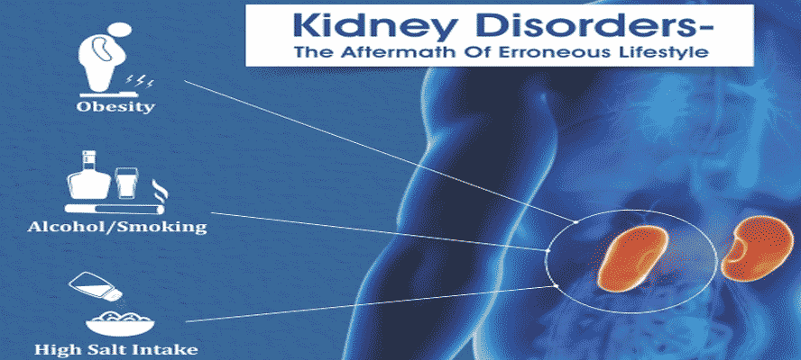 Kidney Disorders -the Aftermath of Erroneous Lifestyle