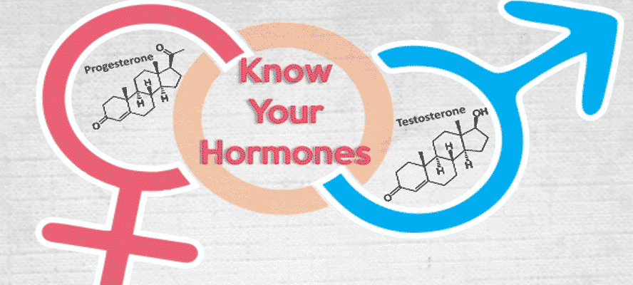 Know Your Hormones - Male and Female Hormones