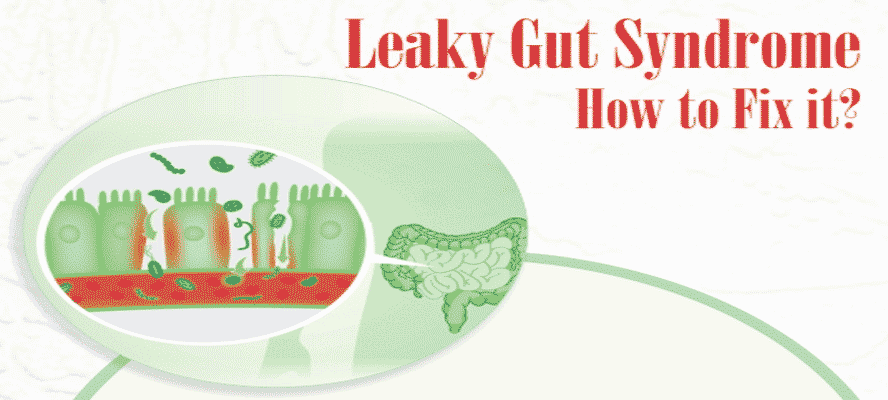 Leaky Gut Syndrome How to Fix It