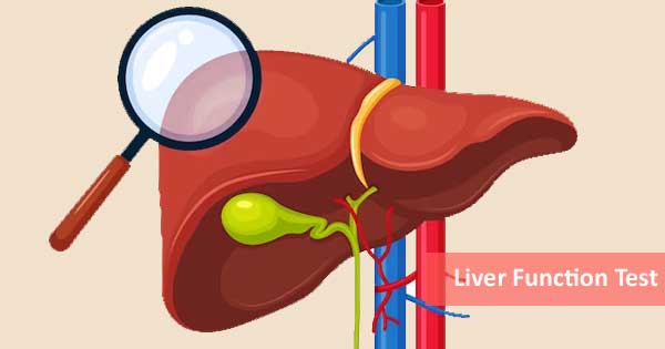 Liver Function Test (LFT Test)