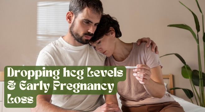 Miscarriage And hCG Levels: Does Dropping hCG Levels Is Loss?