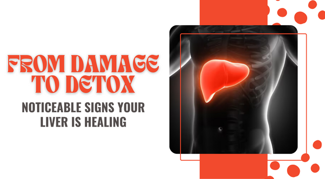 Noticeable Signs That Your Liver Is Healing And Recovering