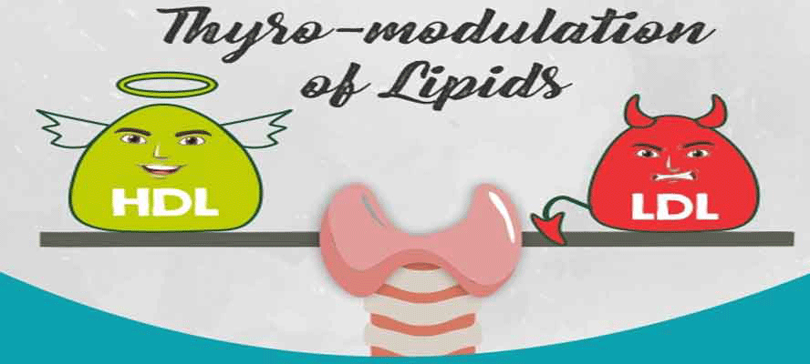 Thyro-modulation Of Lipids - A Link Between Thyroid And Lipids