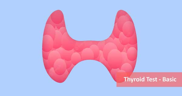 Thyroid Test - Basic