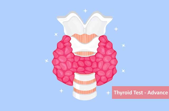 Thyroid Test - Advance