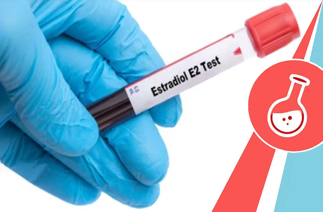 Estradiol Test (E2) / Oestrogen