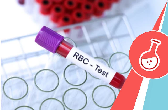 RBC Blood Test (Total RBC Count)