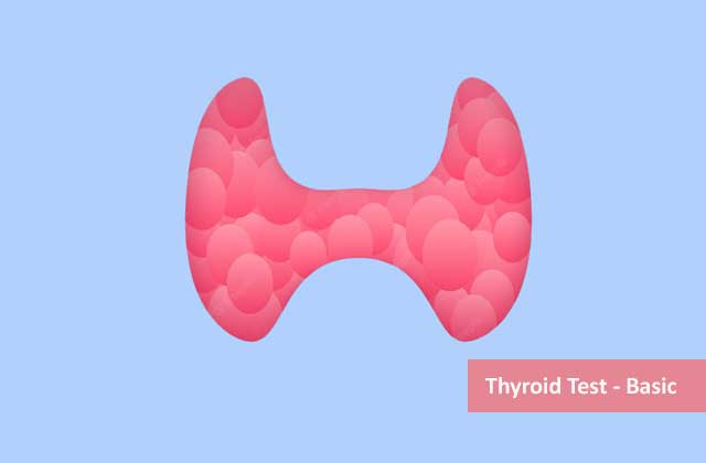 Thyroid Test (Total T3, Total T4, TSH) - Basic