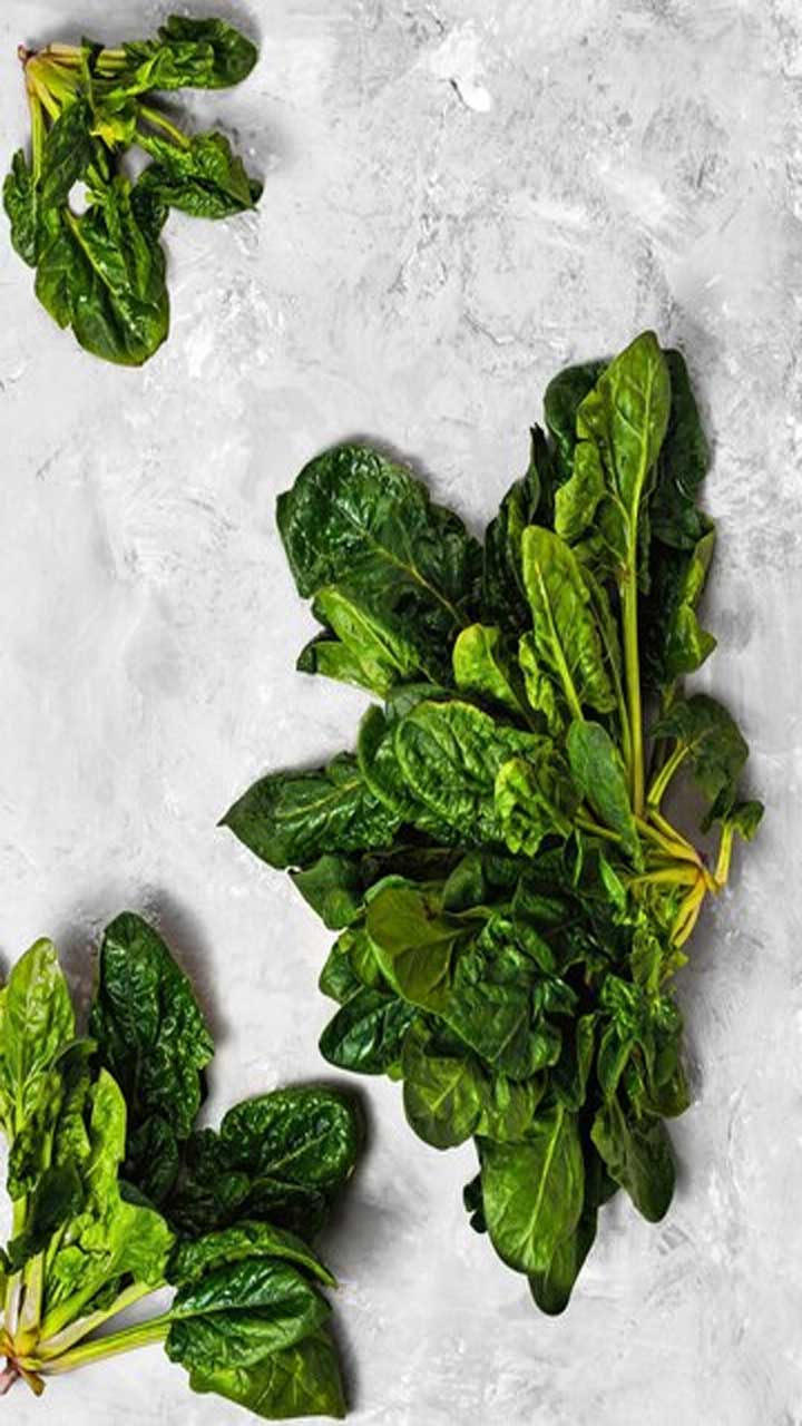 Winter Greens Feast: 11 Ways to Enjoy Spinach