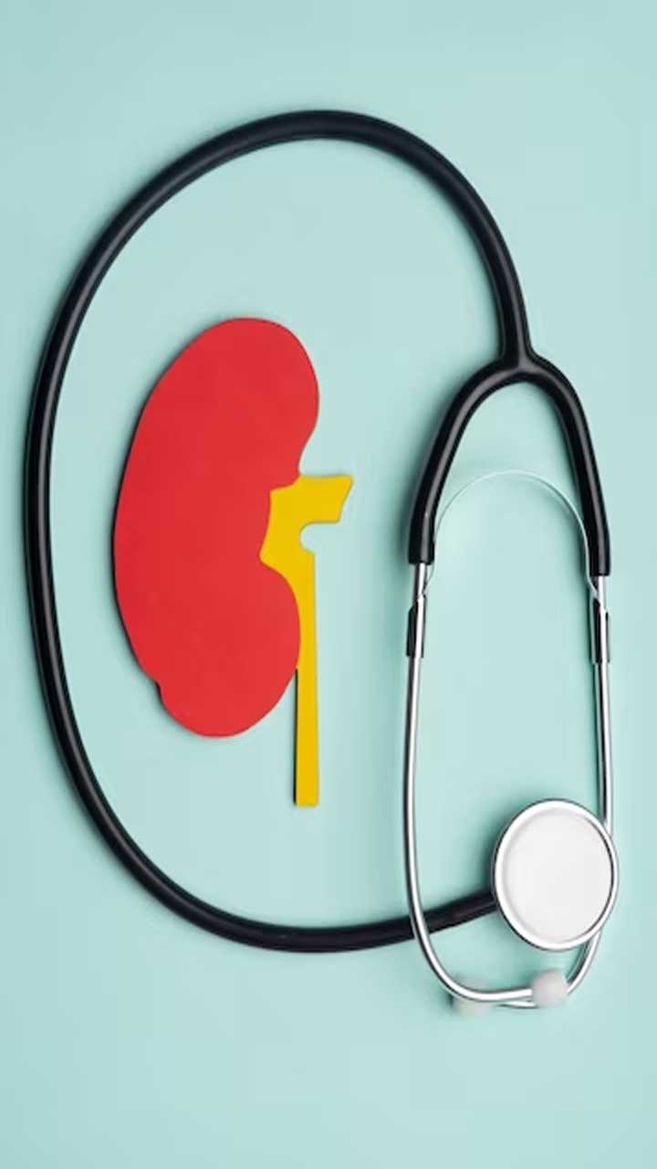 Kidney Health Essentials: Tips for Maintaining Healthy Kidneys