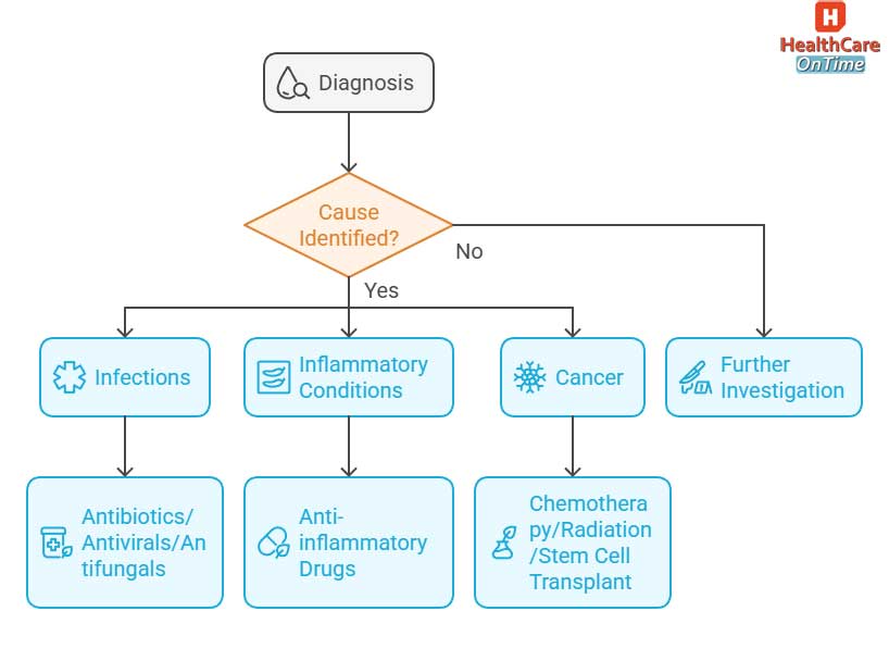 high white blood cell count diagnosis and treatment infographic high white blood cell count diagnosis and treatment infographic