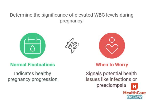 Pregnancy and High WBC Count infographic Pregnancy and High WBC Count infographic