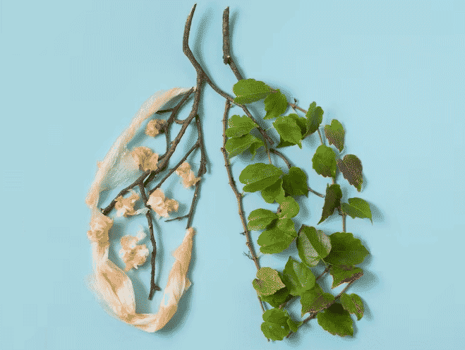 Simple Ways To Keep Lung Healthy Simple Ways To Keep Lung Healthy