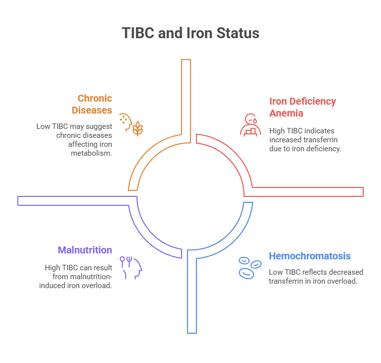 TIBC and Iron Status