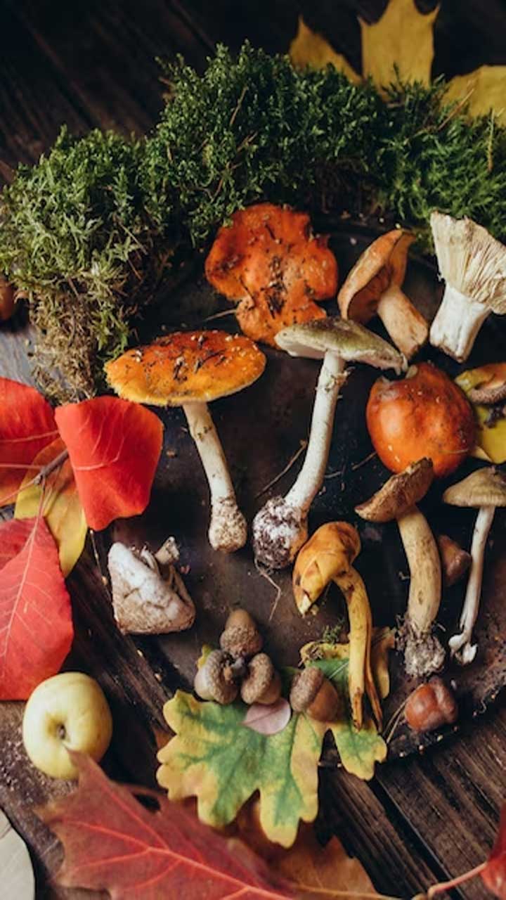 Exper-Proven Top 11 Benefits Of Eating Mushrooms.