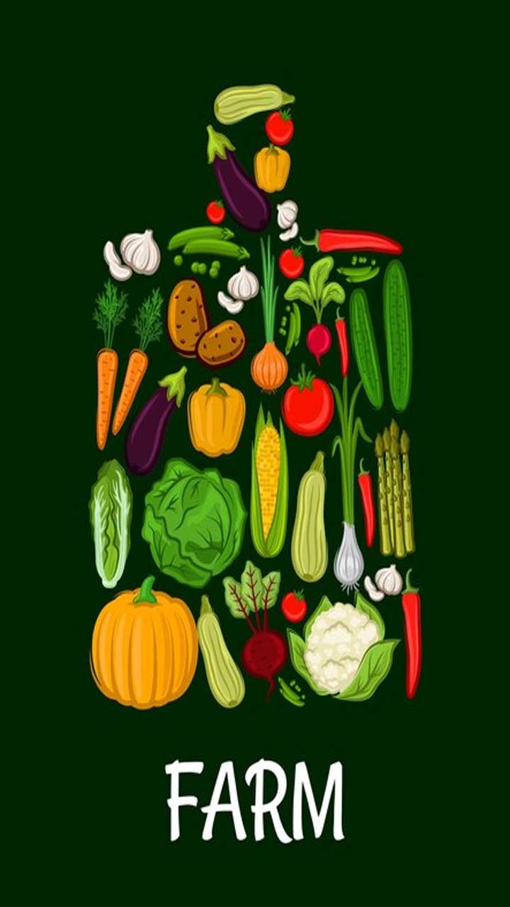Elevate Your Metabolism: 11 Vegetarian Power Foods