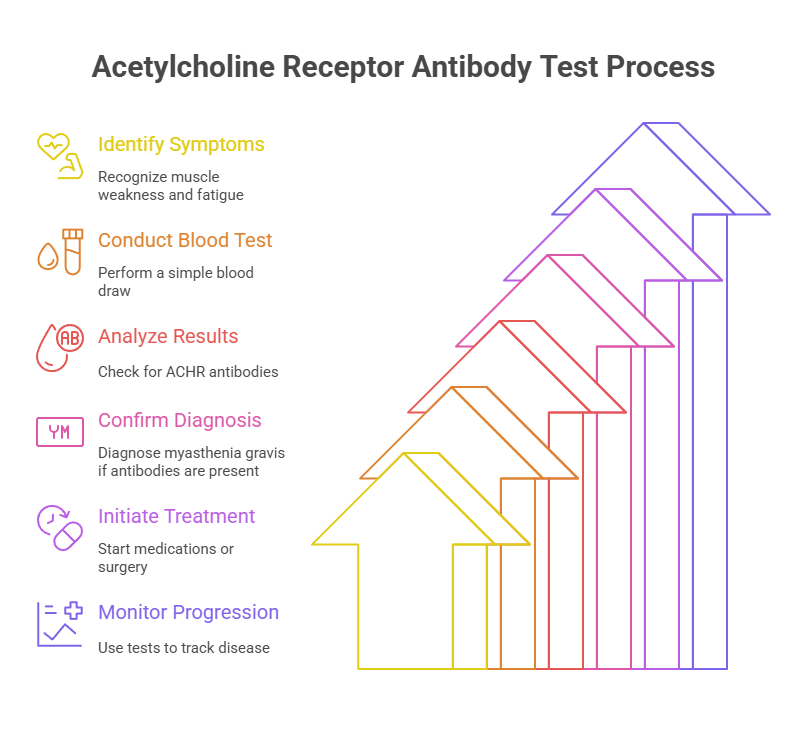 Acetylcholine Receptor Antibody Test Process