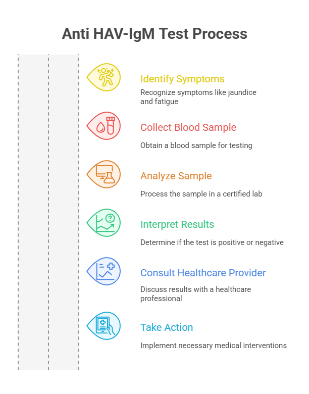 Anti HAV-IgM Test Process