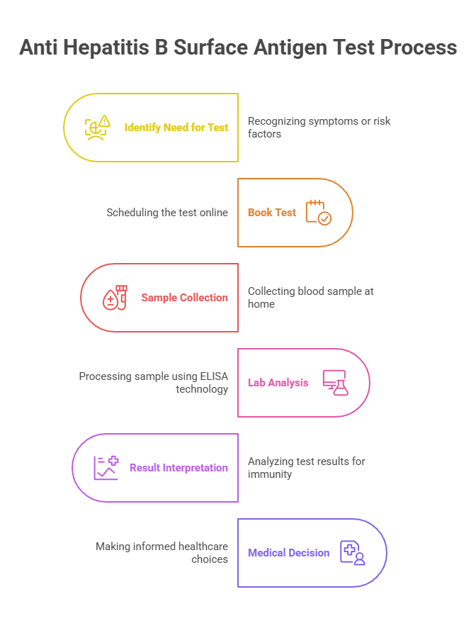 Anti Hepatitis B Surface Antigen Test Process