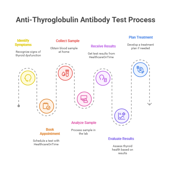 Anti-Thyroglobulin Antibody Test Process