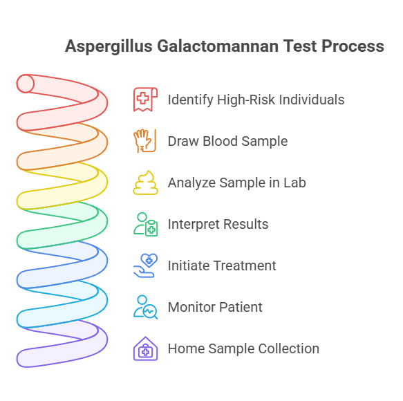 Aspergillus Galactomannan Test Process