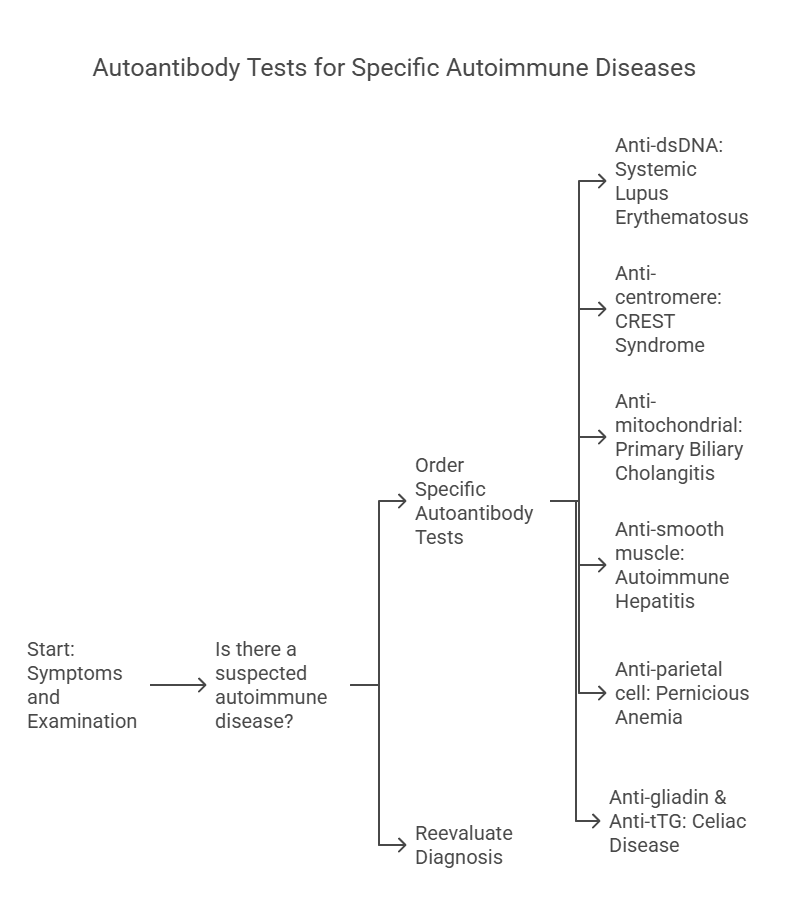 Autoantibody Tests for Specific Autoimmune Diseases