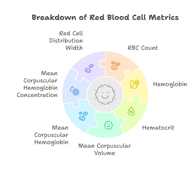 Breakdown of Red Blood Cell Metrics