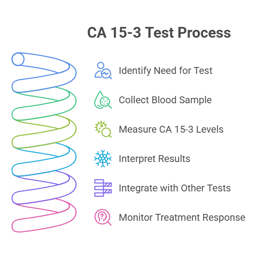 CA 15-3 Test Process
