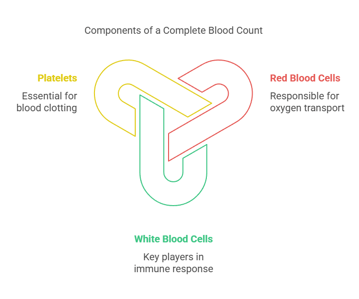 Components of a Complete Blood Count