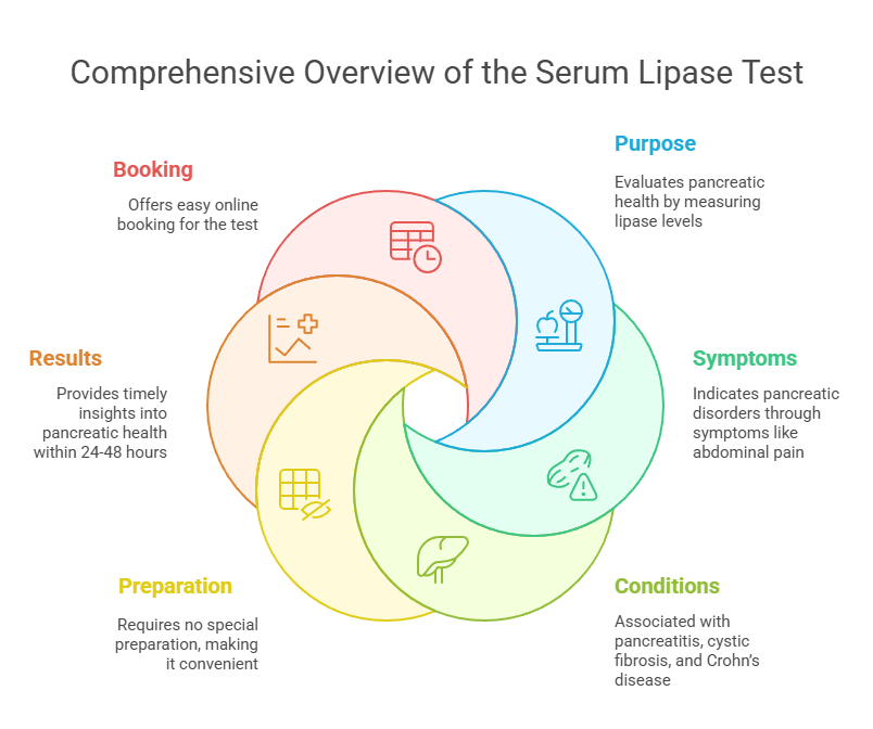 Comprehensive Overview of the Serum Lipase Test