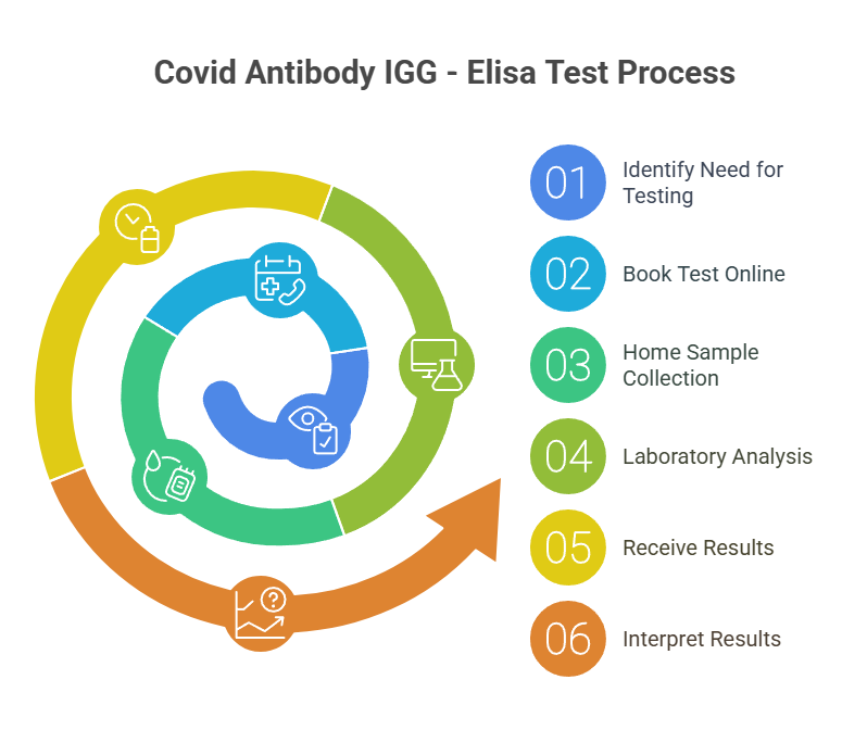 Covid Antibody IGG - Elisa Test Process