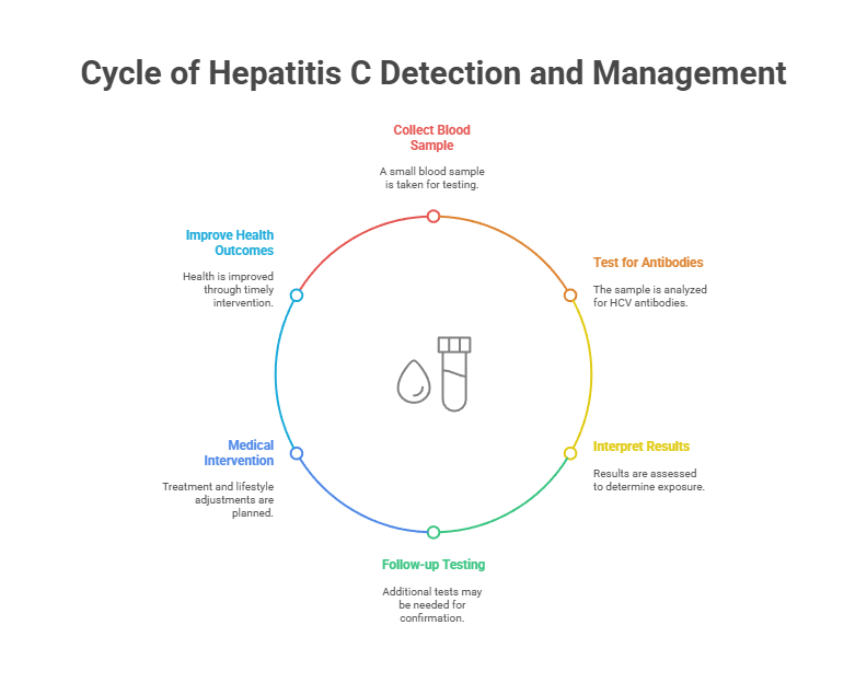 Cycle of Hepatitis C Detection and Management