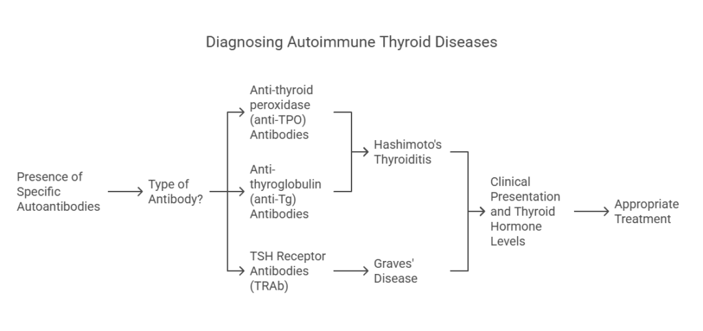Diagnosing Autoimmune Thyroid Diseases