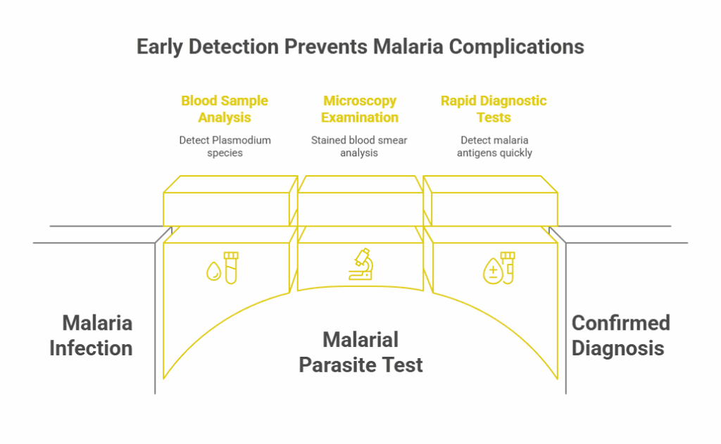Early Detection Prevents Malaria Complications