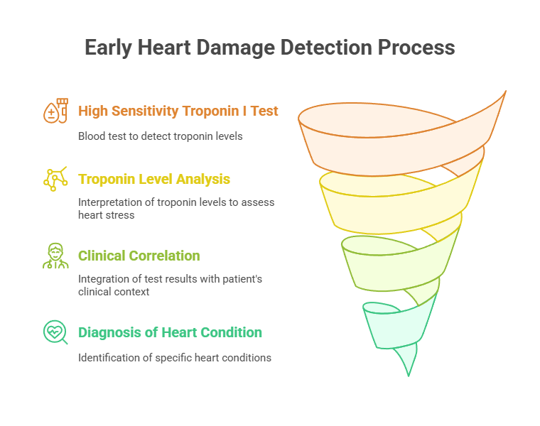 Early Heart Damage Detection Process