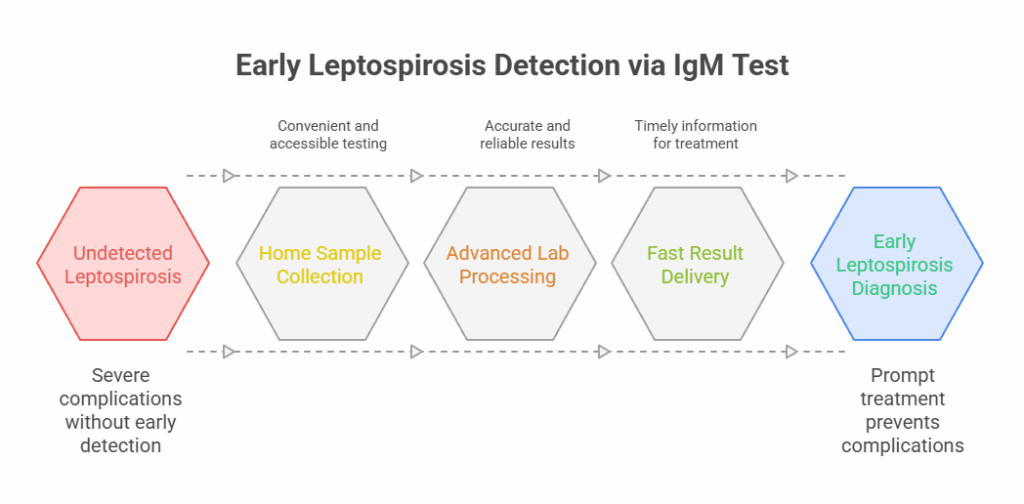 Early Leptospirosis Detection via IgM Test