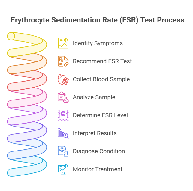 Erythrocyte Sedimentation Rate (ESR) Test Process