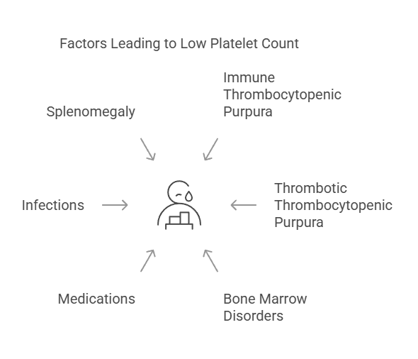 Factors Leading to Low Platelet Count