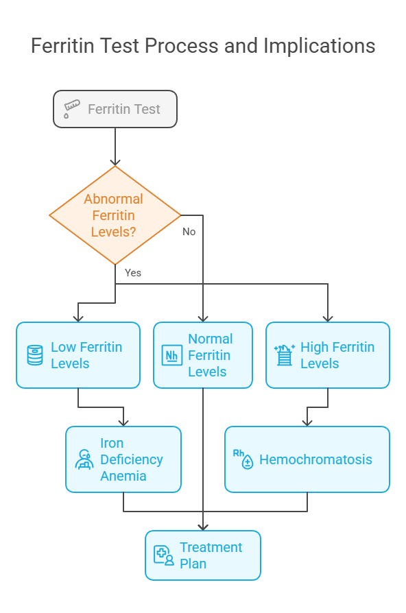 Ferritin Test Process and Implications